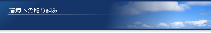 ���ւ̎��g��